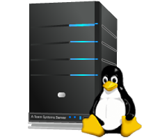 Server dedicati Linux